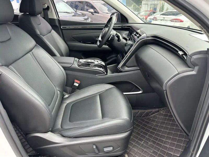 beijing-hyundai tushengl