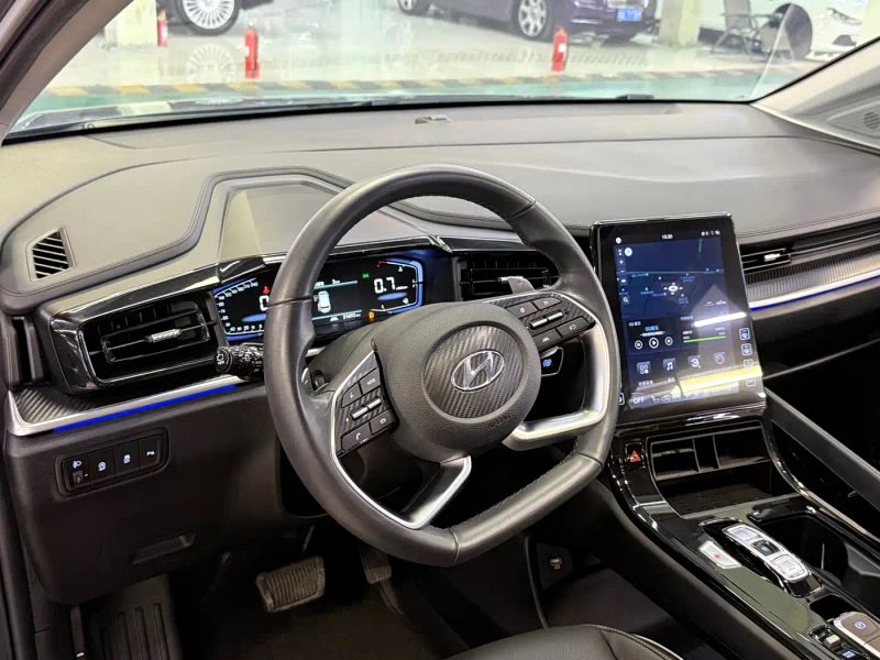 beijing-hyundai custo