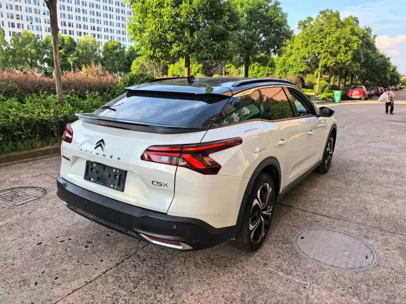 tianyi c5x