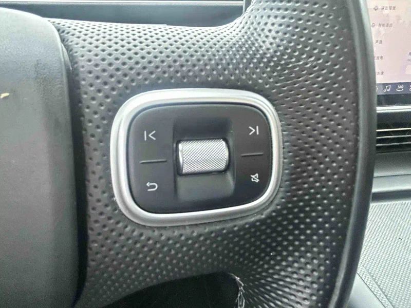Xpeng g6