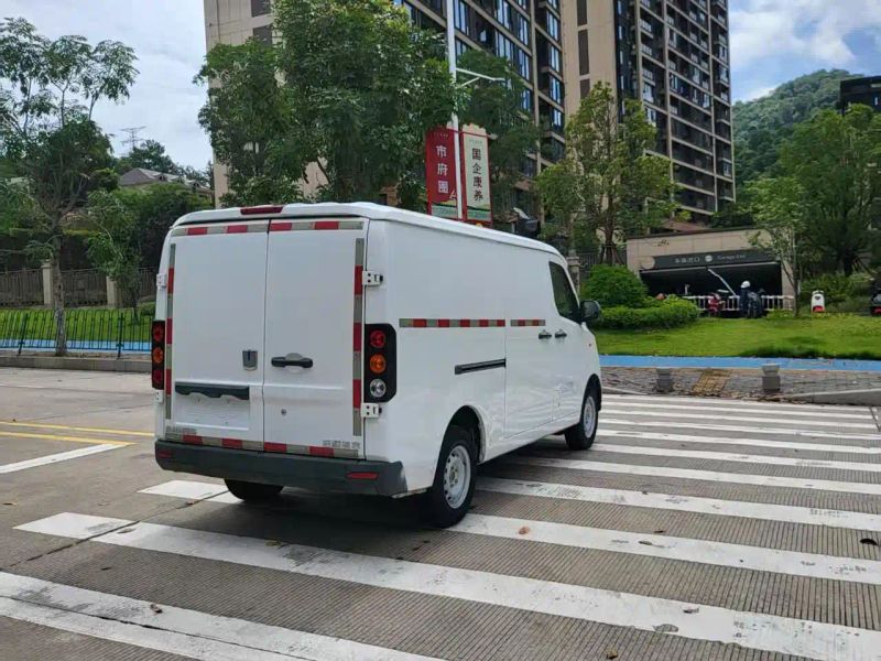 Remotecar xing-xiang-v