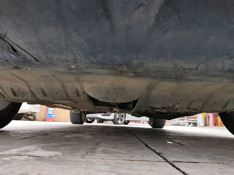 dama sr9