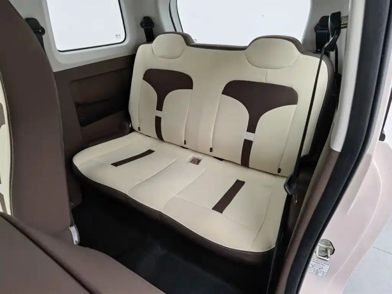 Zotye caihong