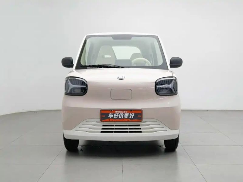 Zotye caihong