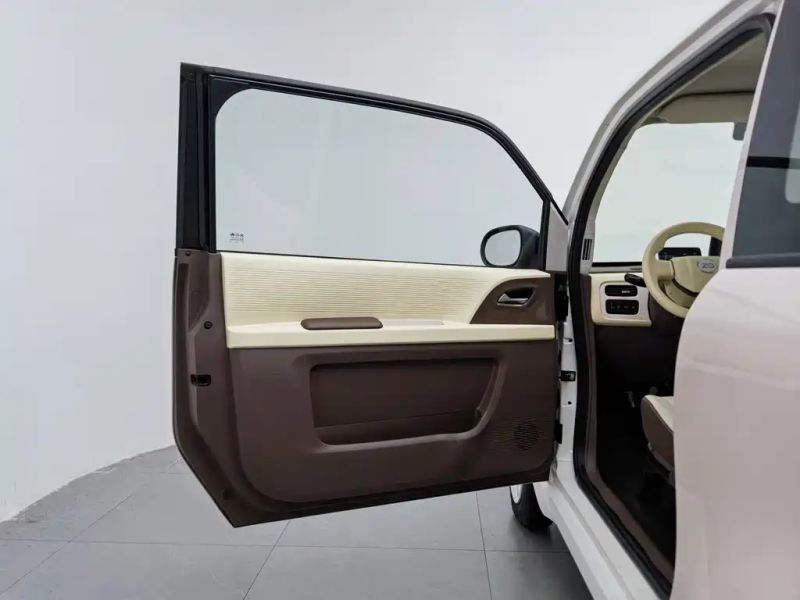 Zotye caihong