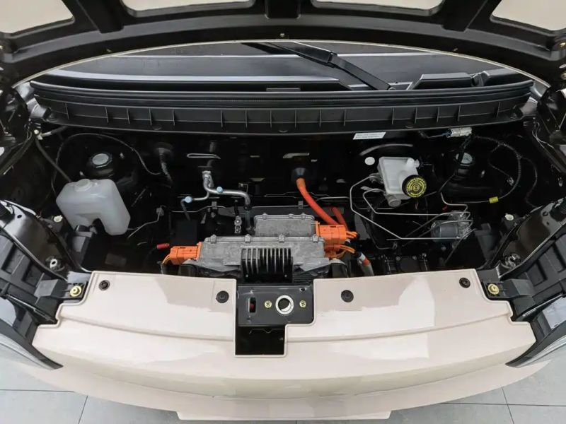 Zotye caihong