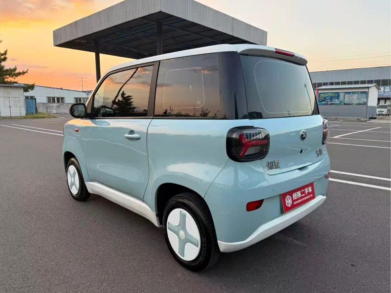 Zotye caihong
