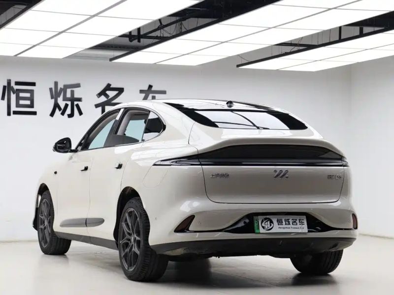 zhiji ls