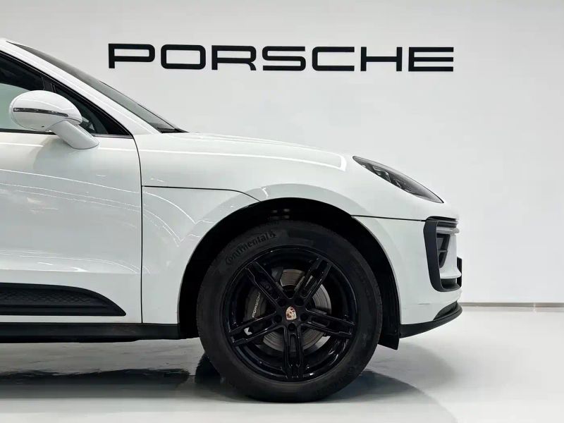 macan macan