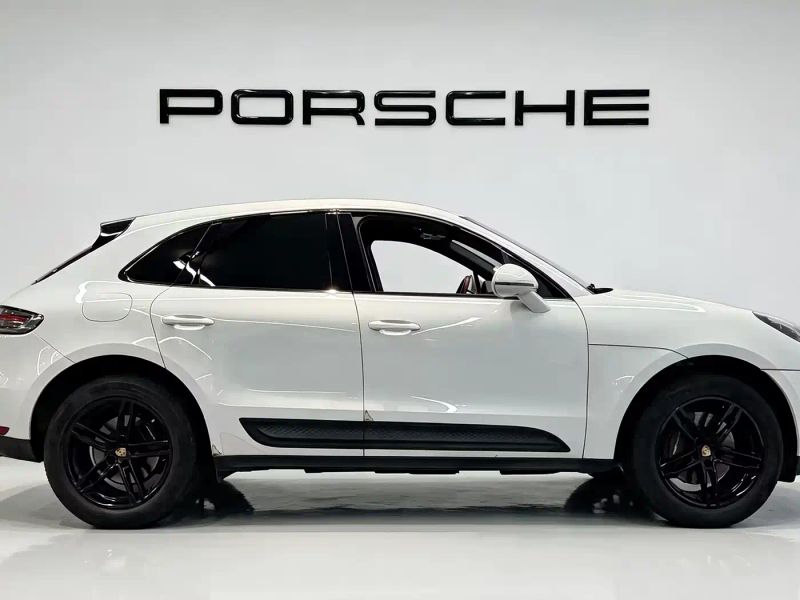 macan macan