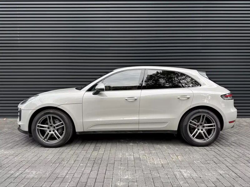 macan macan