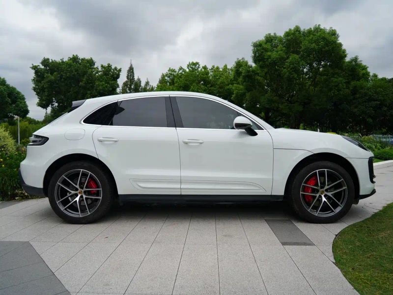 macan macan