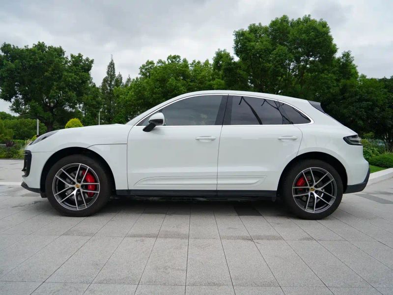 macan macan