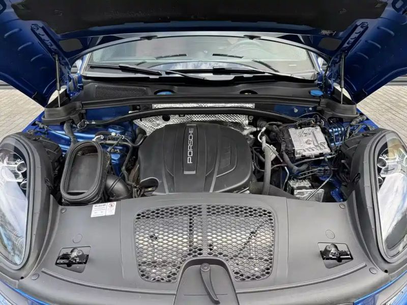 macan macan