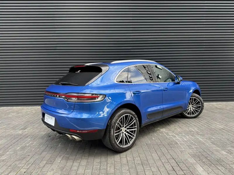 macan macan
