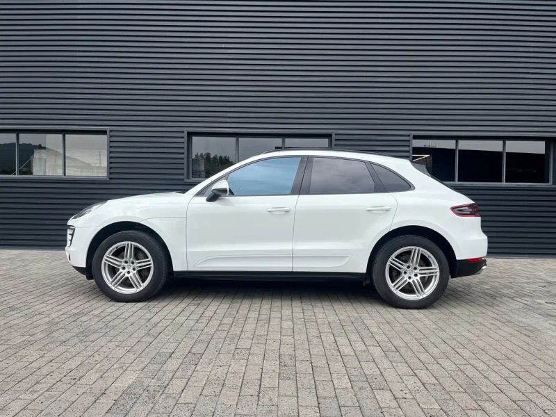 macan macan