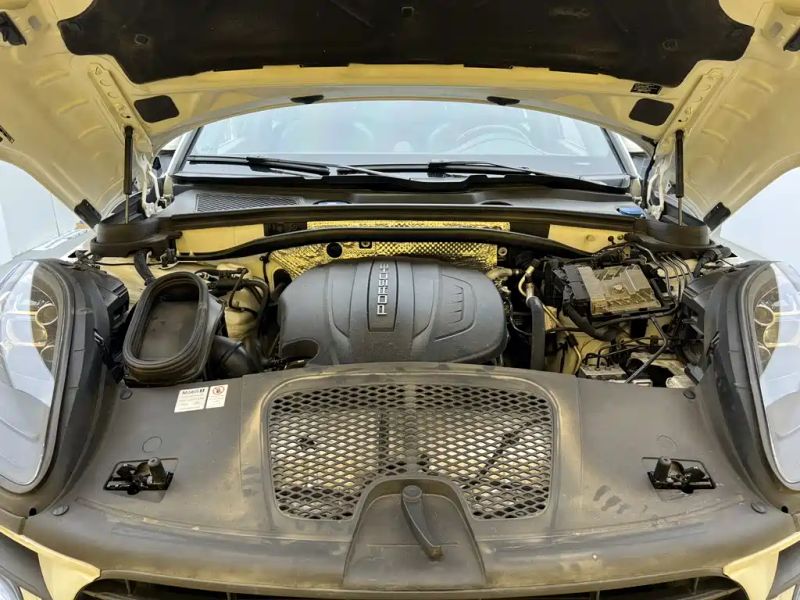 macan macan