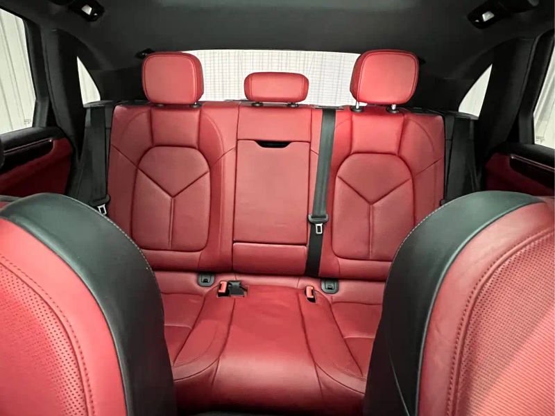 macan macan