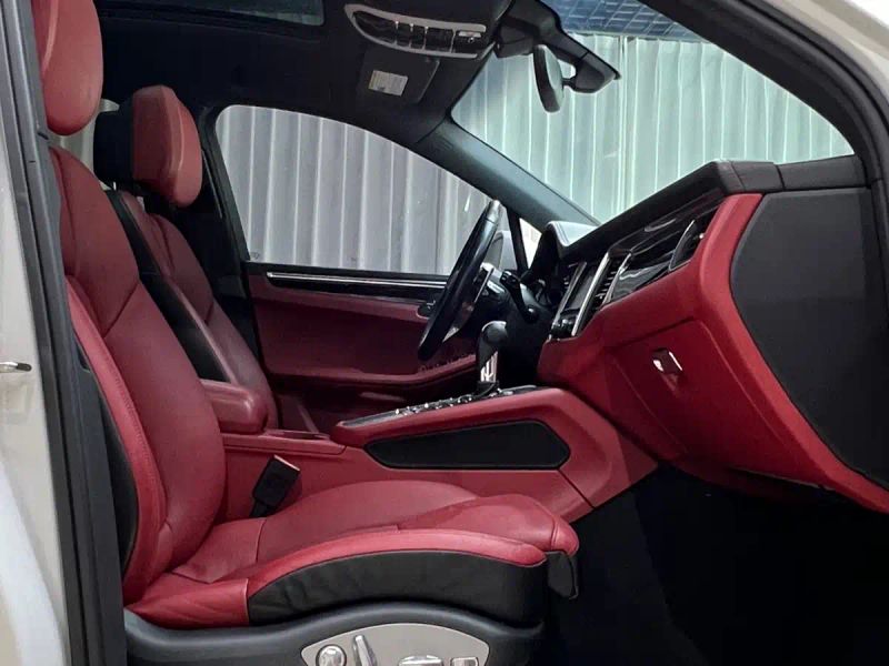 macan macan