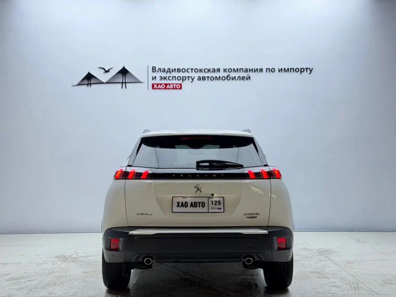 Peugeot peugeot-2008