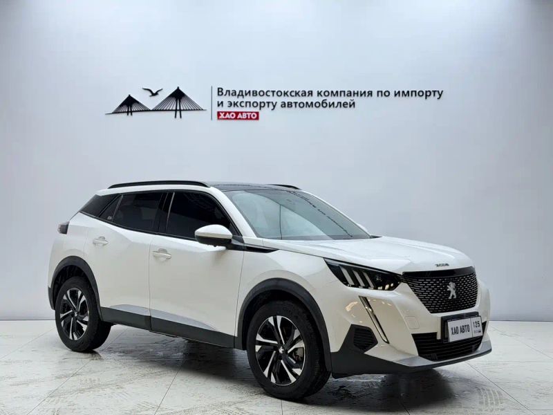Peugeot peugeot-2008