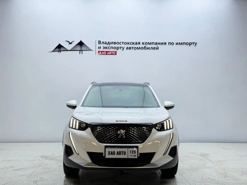 Peugeot peugeot-2008
