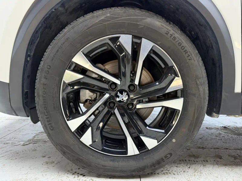 Peugeot peugeot-2008