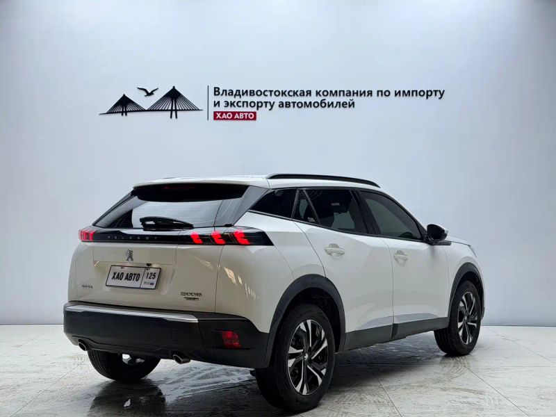 Peugeot peugeot-2008