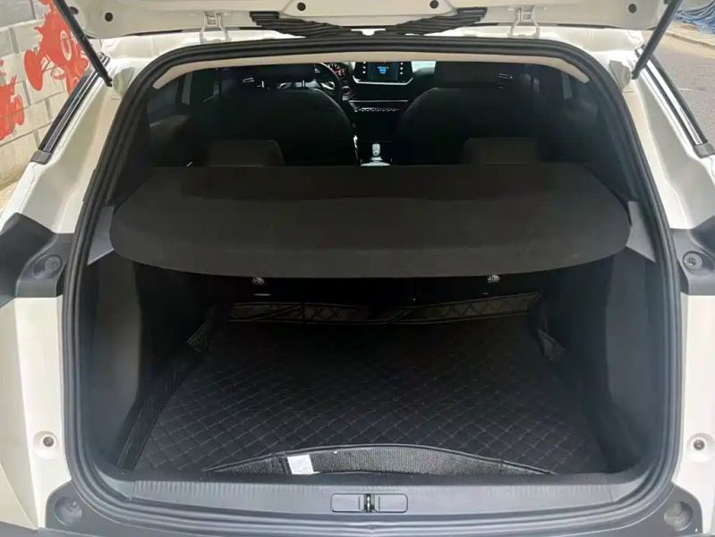 Peugeot peugeot-2008