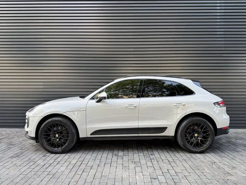 macan macan