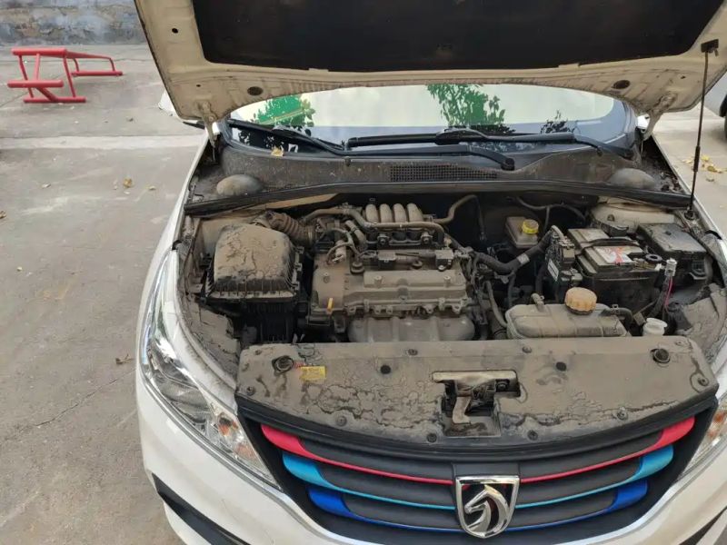 Baojun 310