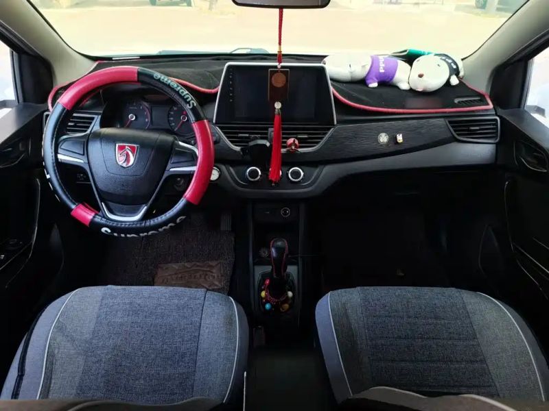 Baojun 310