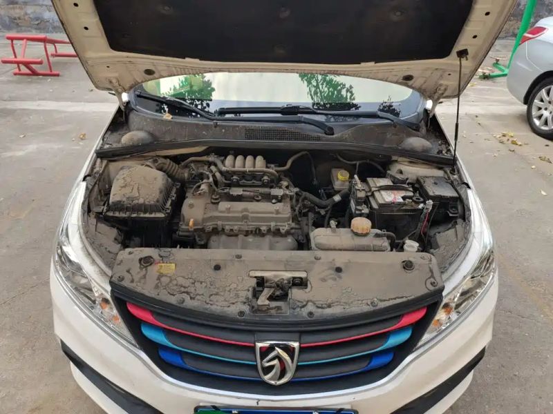 Baojun 310