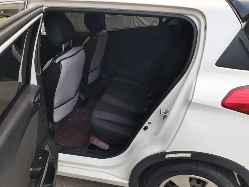 Baojun 310