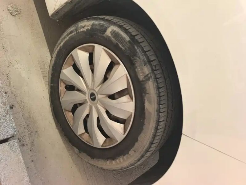 ruisheng wangpai