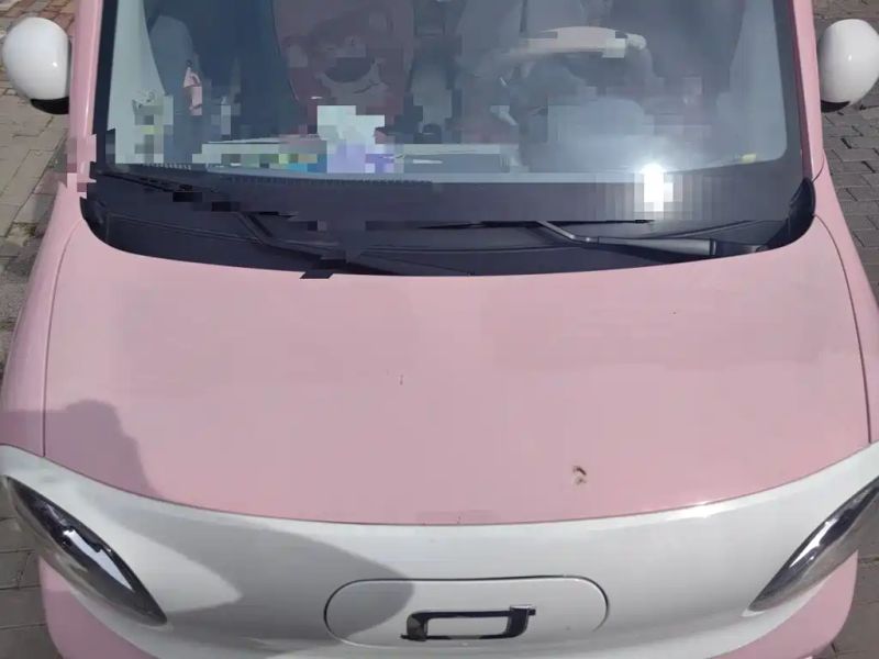 Besturn xiaoma