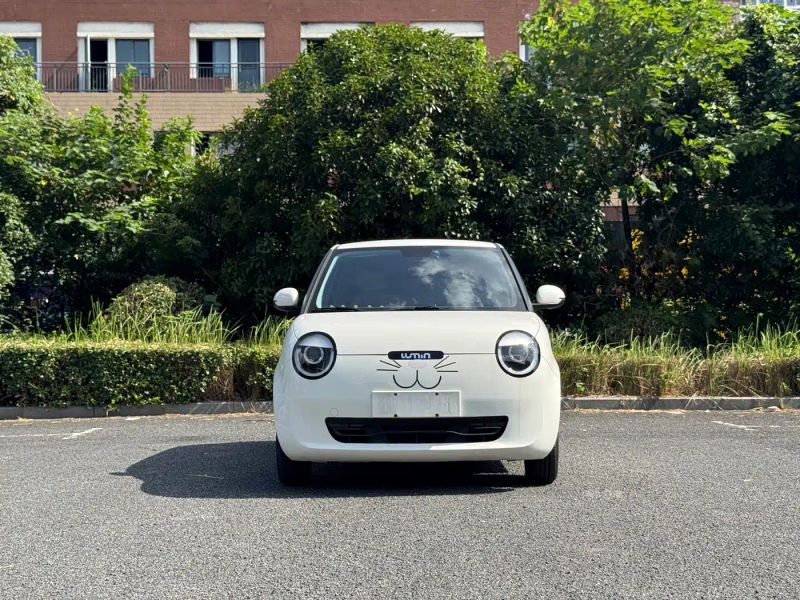 Changan lumin