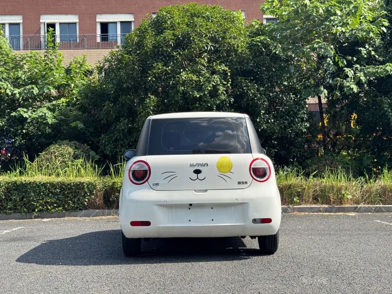 Changan lumin