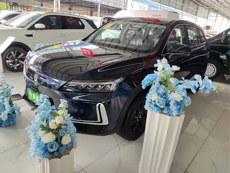 skyworth ev6