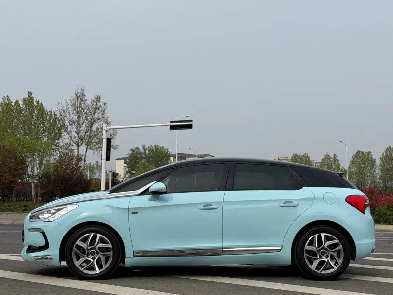 Ds ds5