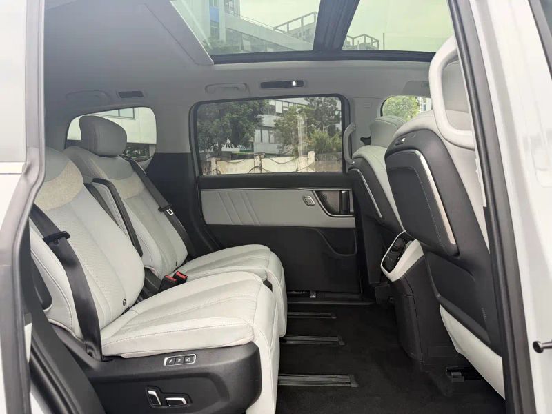 dana mini-van