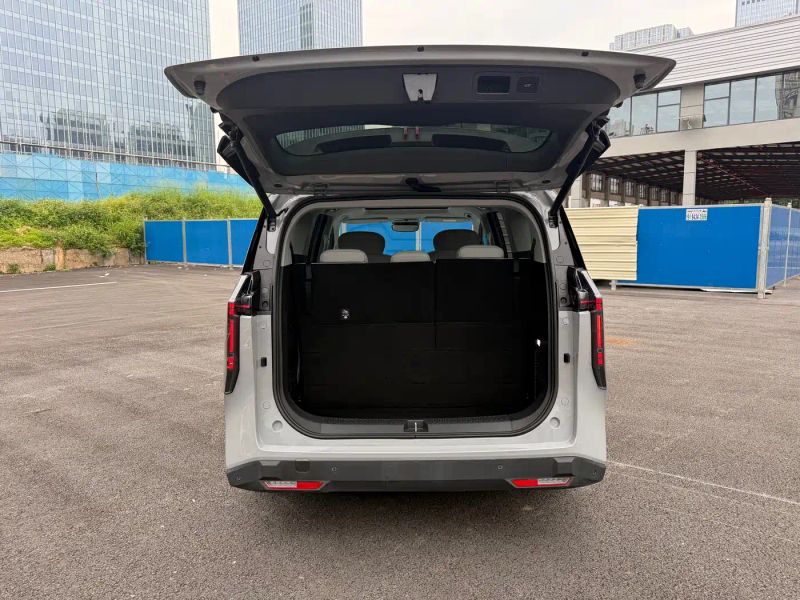 dana mini-van