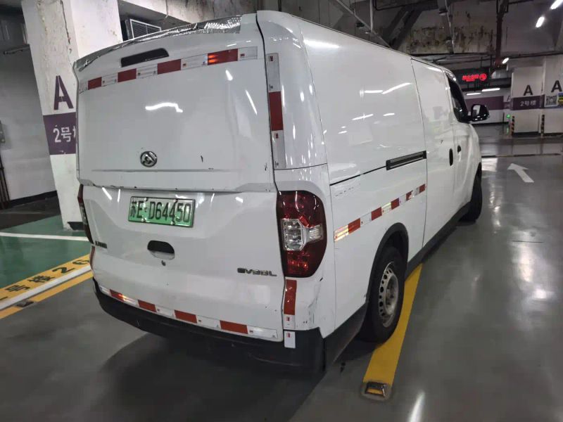 dana ev30
