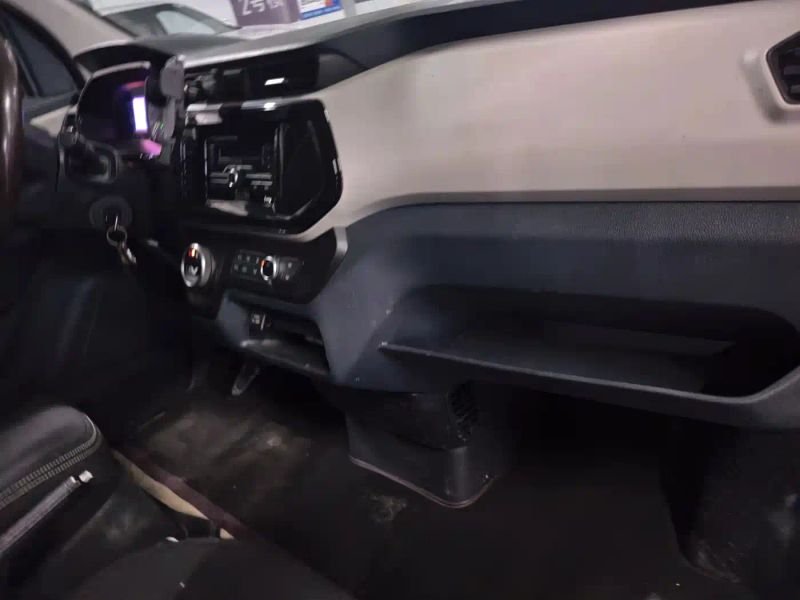 dana ev30