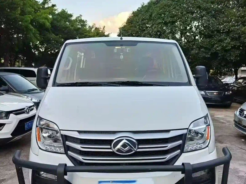 dana maxus