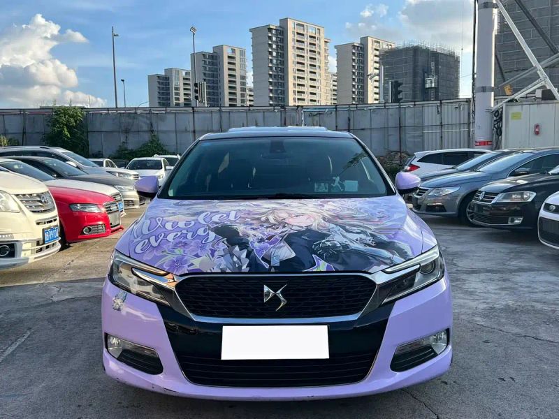 Ds 5ls