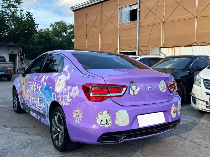 Ds 5ls