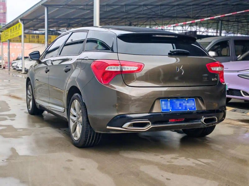 Ds 5