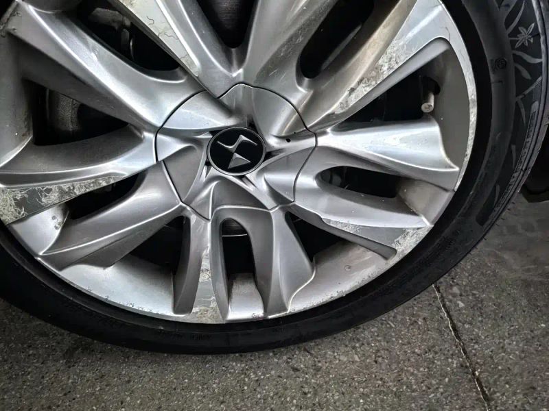 Ds 5