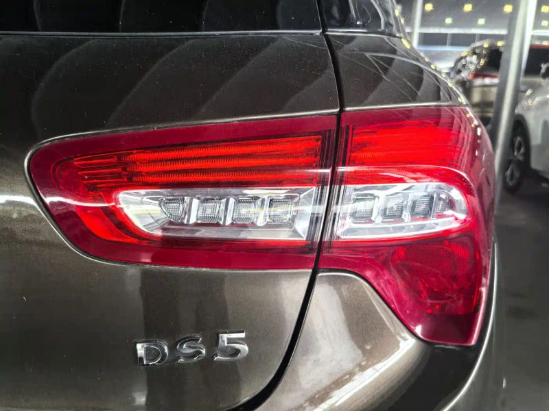 Ds 5